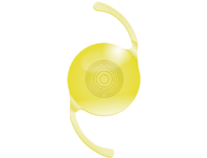 Vivinex ジェメトリック