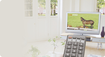 多焦点眼内レンズ multifocal lens